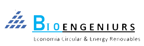 Logo BIOENGENIURS